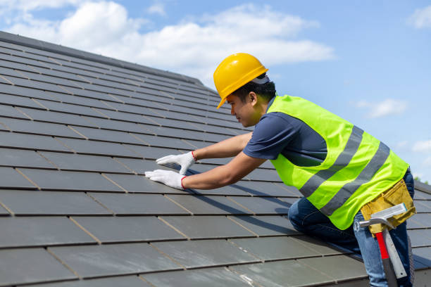 Best Solar Panel Roofing Installation  in Harvey, MI