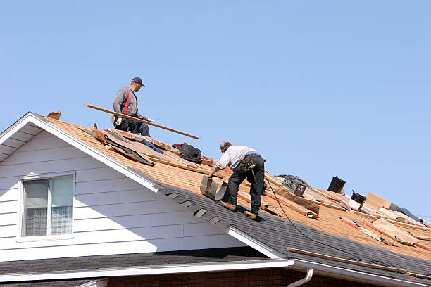 Best Storm Damage Roof Repair  in Harvey, MI